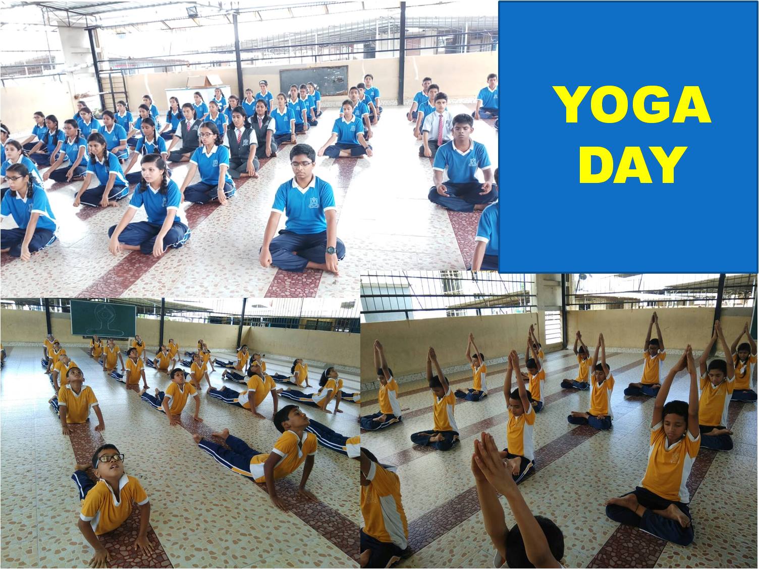 Yoga Day